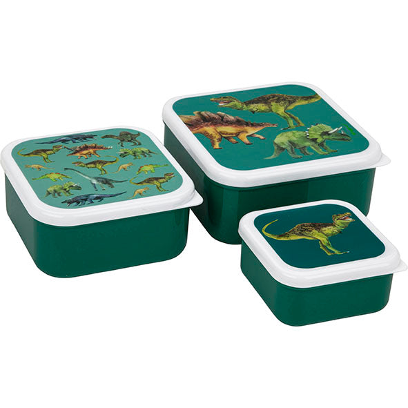 Lunch Box Set Dinosaur