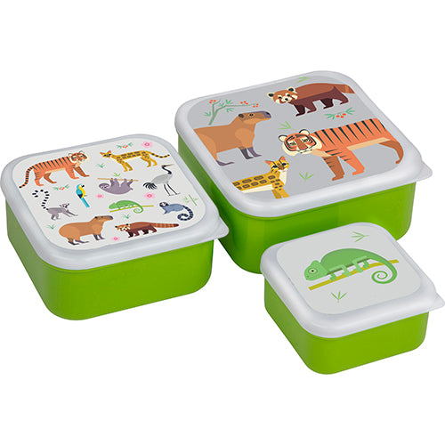 Lunch Box Set Rainforest