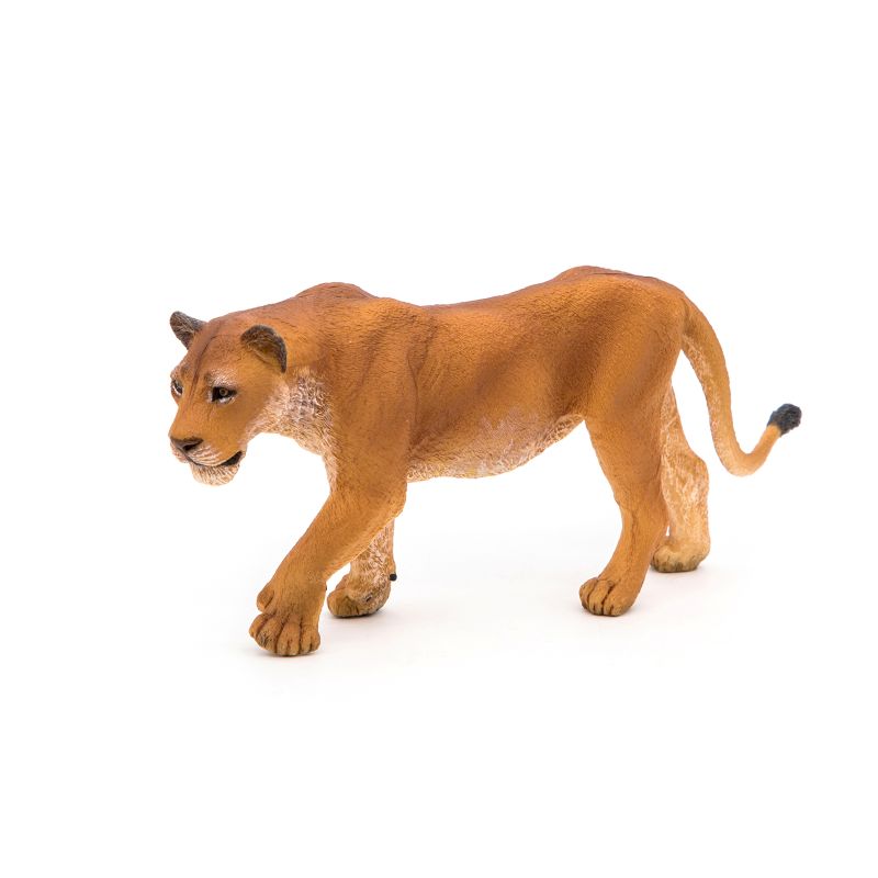 Lioness