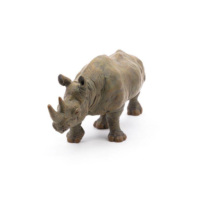 Black Rhino