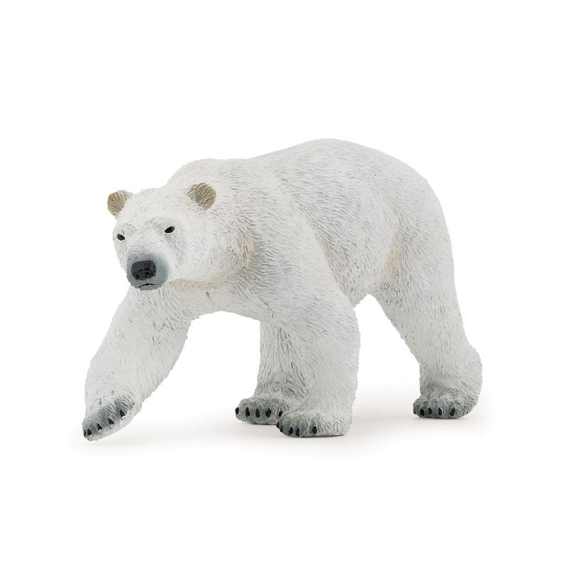 Walking Polar Bear