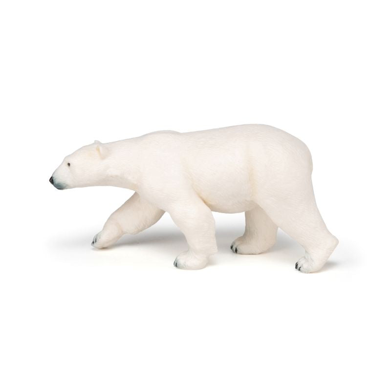 Walking Polar Bear