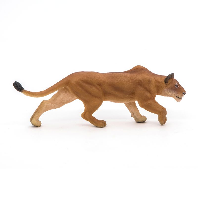 Hunting Lioness