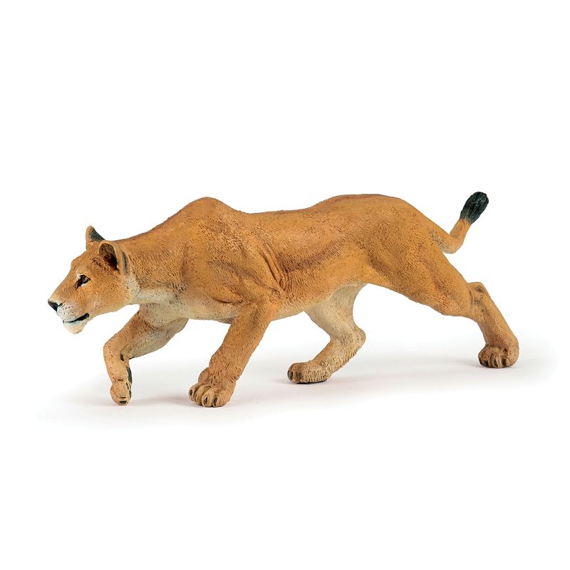 Hunting Lioness