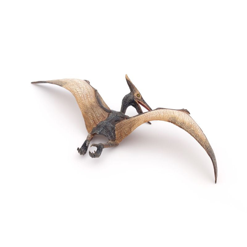 Pteranodon