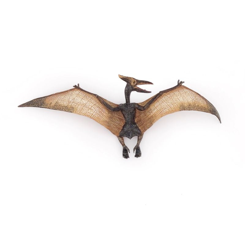 Pteranodon