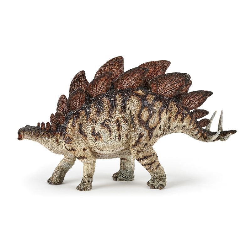 Stegosaurus