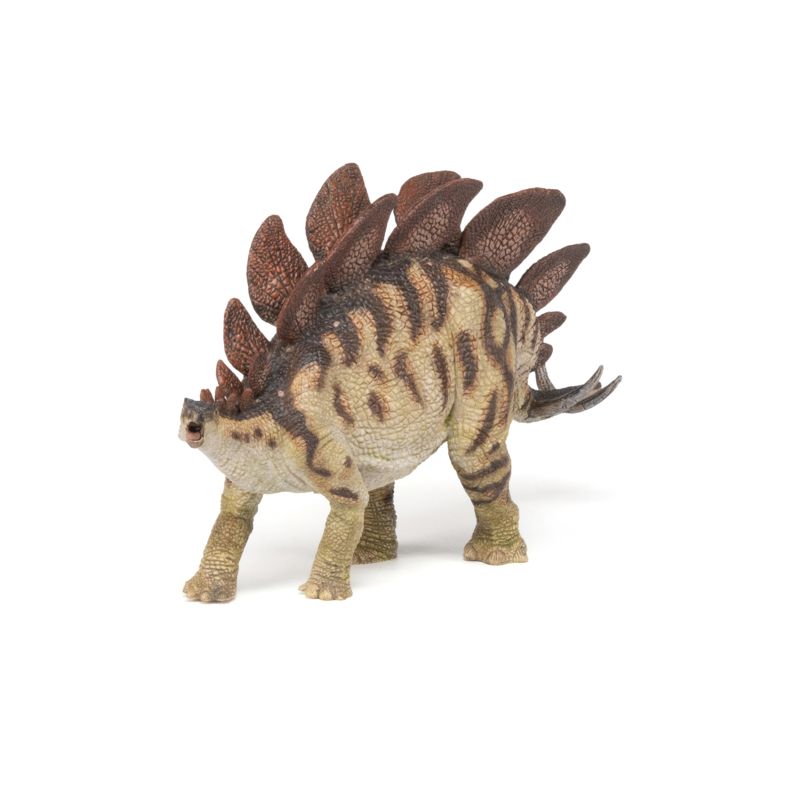 Stegosaurus