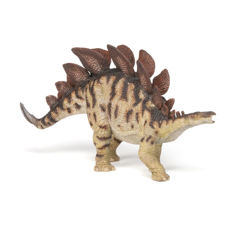 Stegosaurus