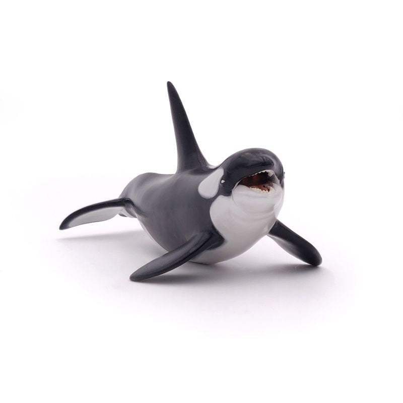 Orca