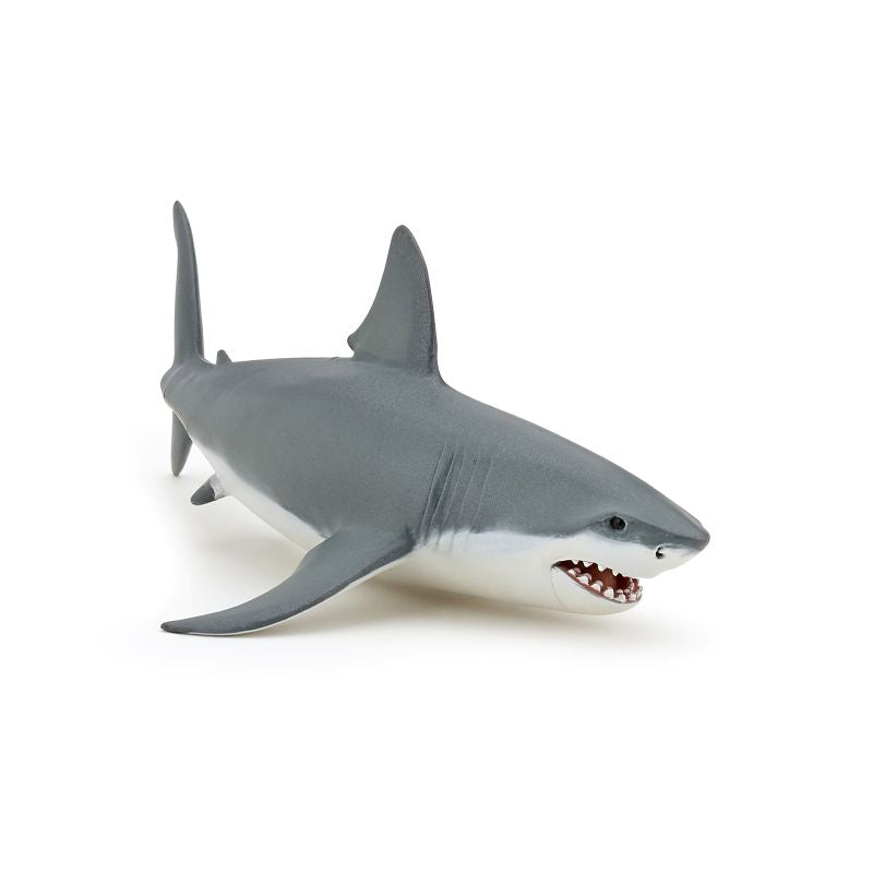 White Shark