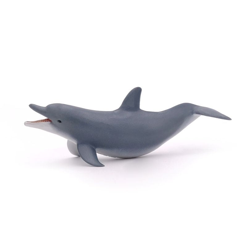Playing Dolphin