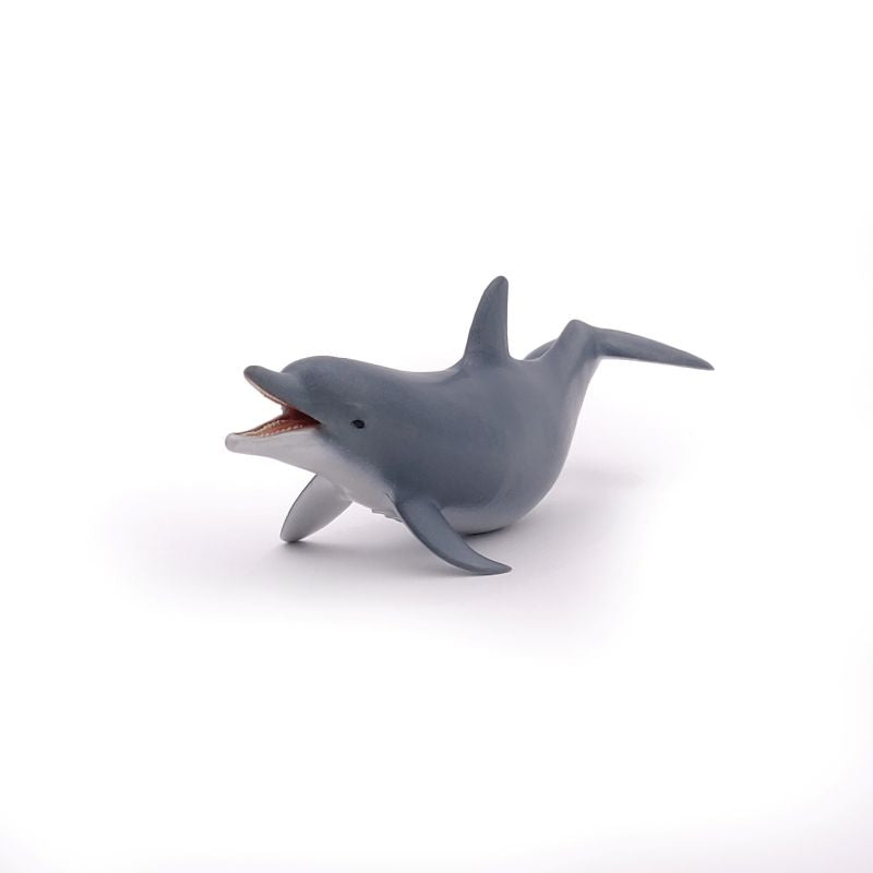 Playing Dolphin