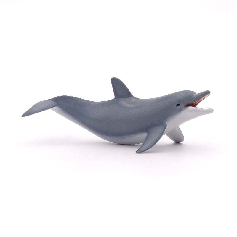Playing Dolphin