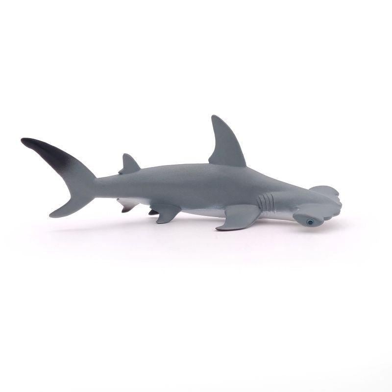 Hammerhead Shark
