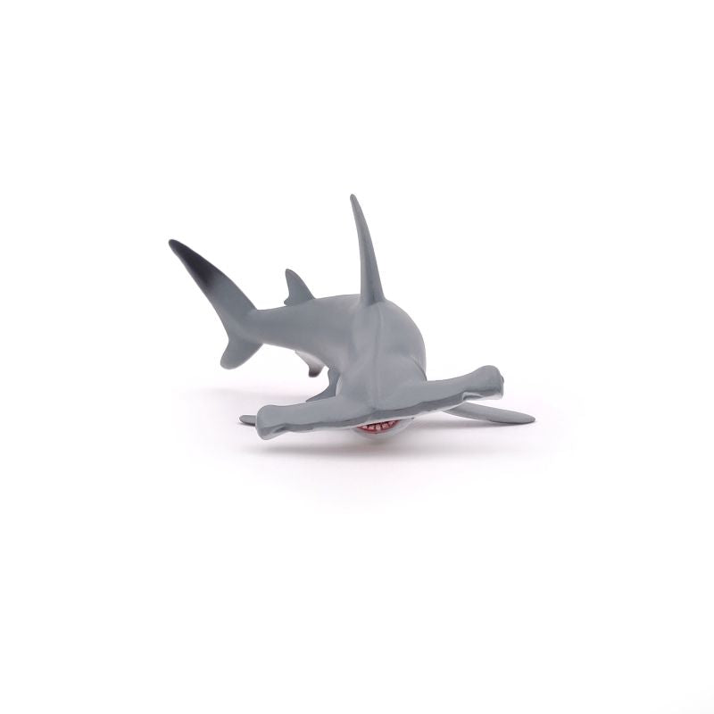 Hammerhead Shark