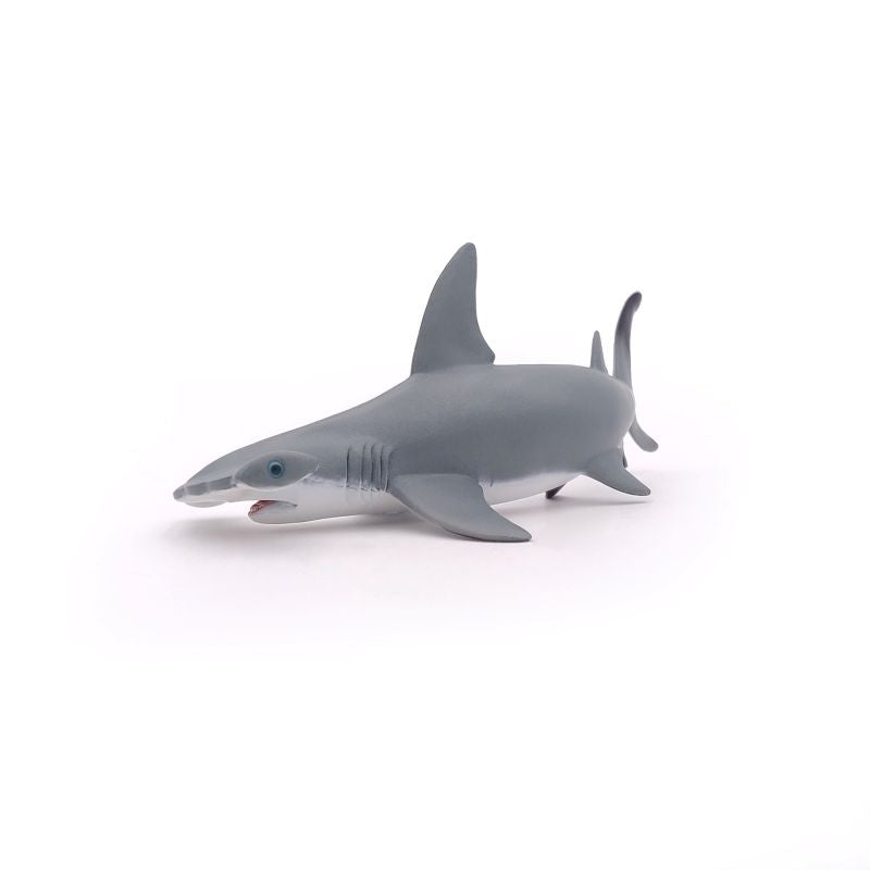 Hammerhead Shark