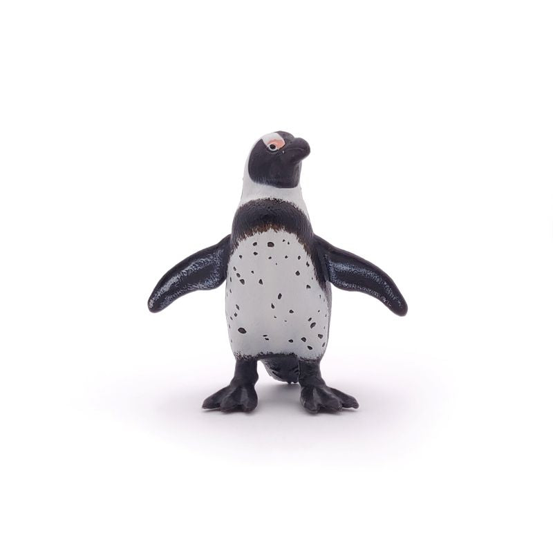 African Penguin