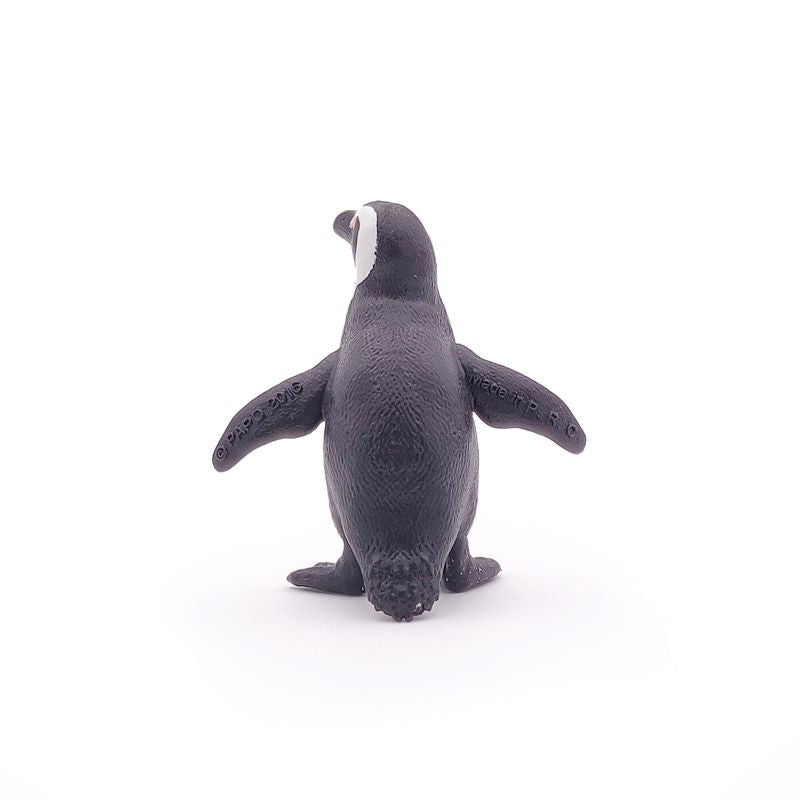African Penguin
