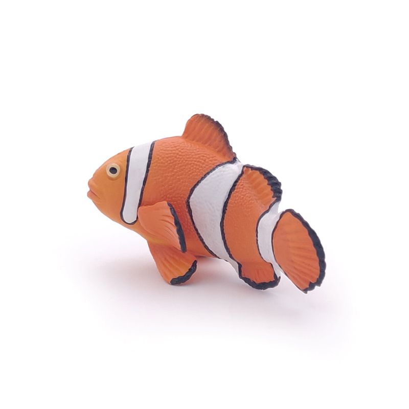 Clown Fish