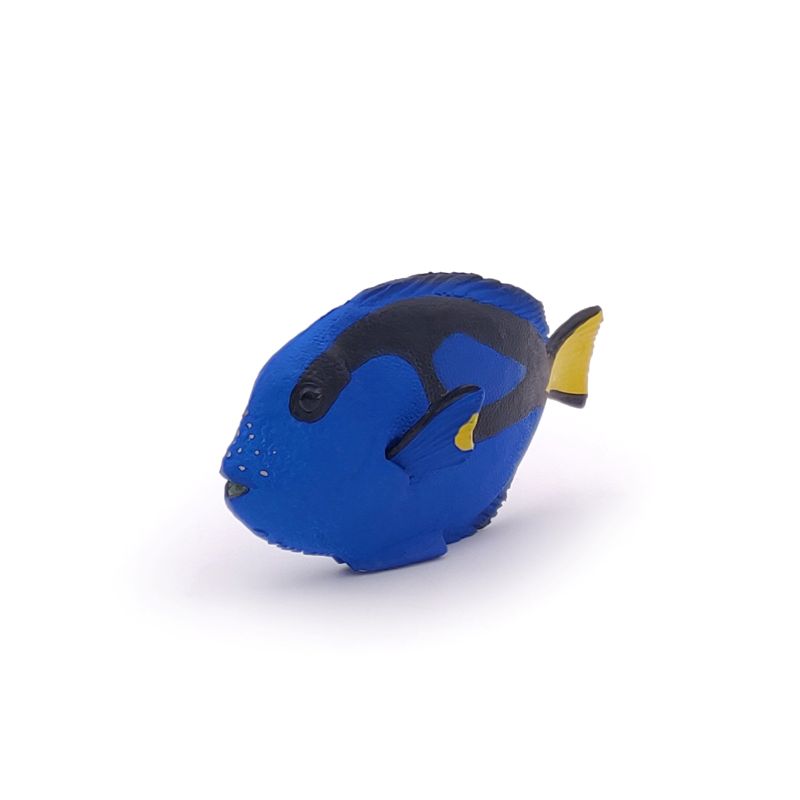 Doctorfish