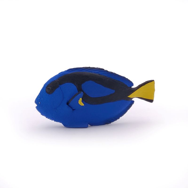 Doctorfish