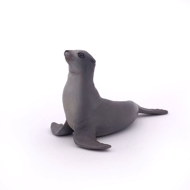Sea Lion