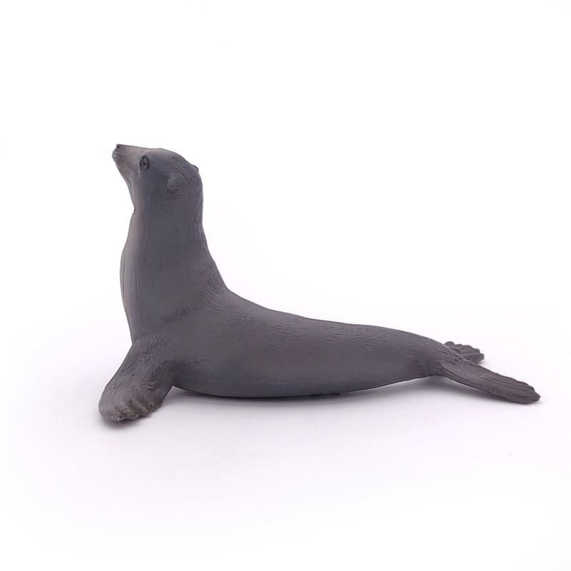Sea Lion