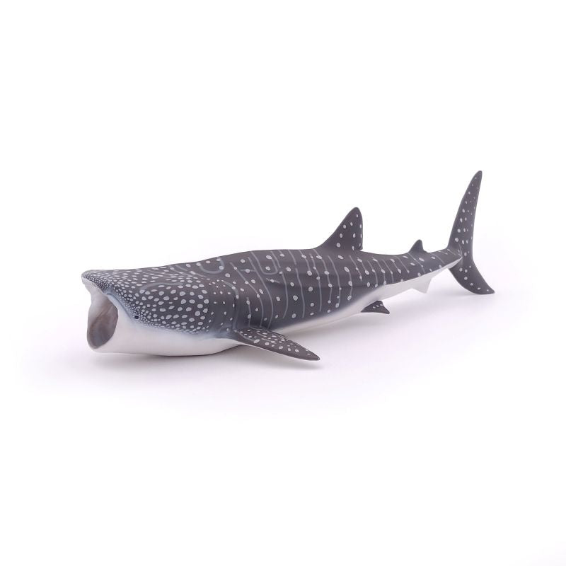 Whale Shark