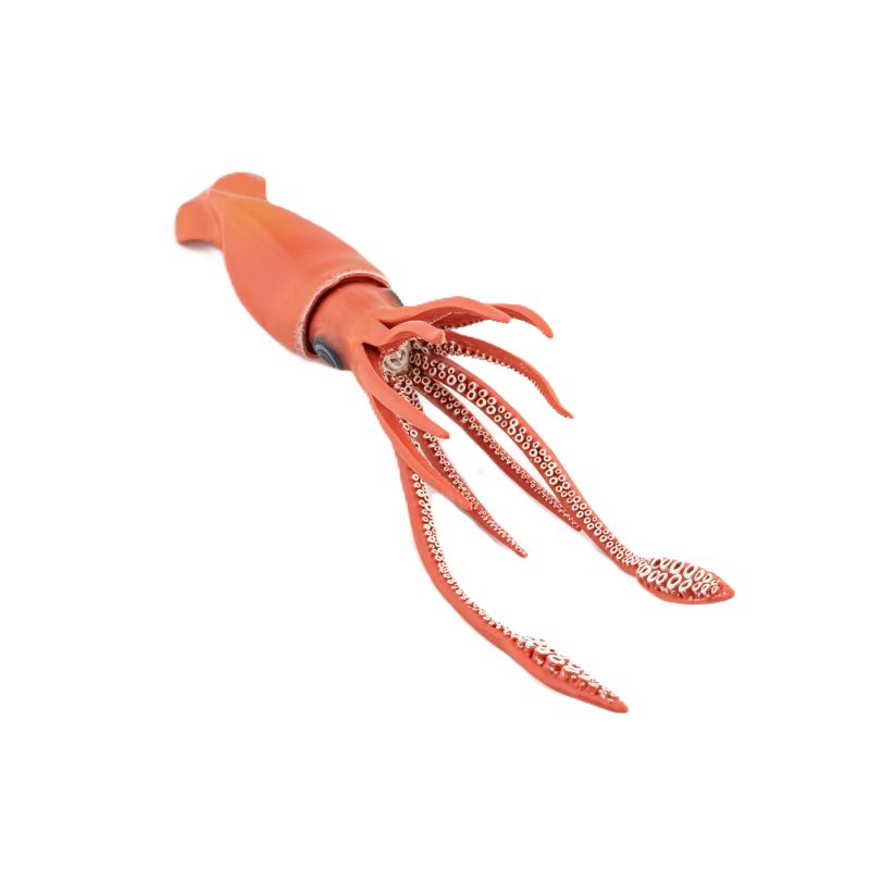 Giant Squid