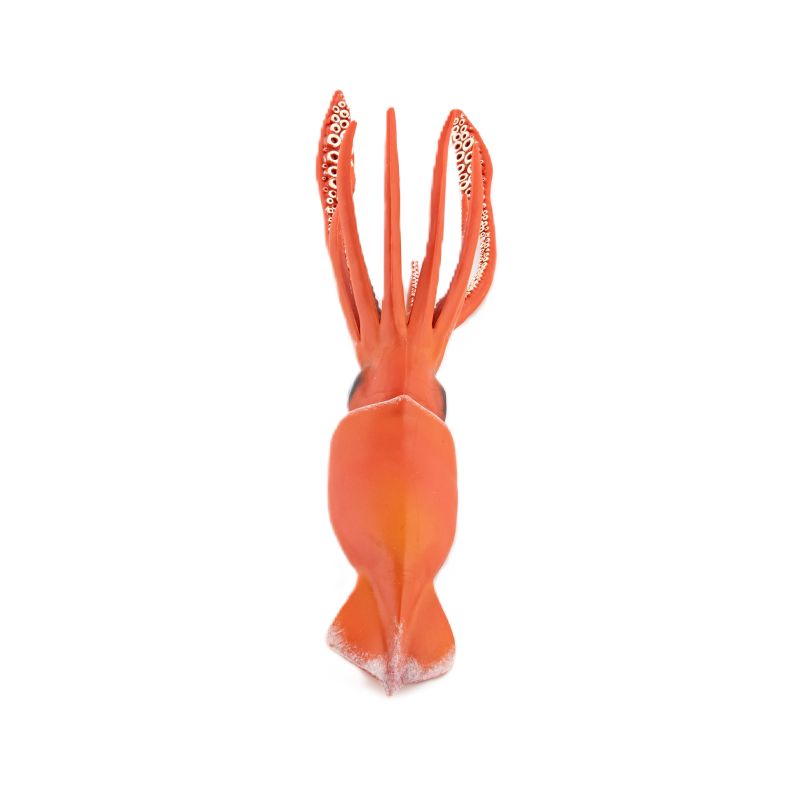 Giant Squid