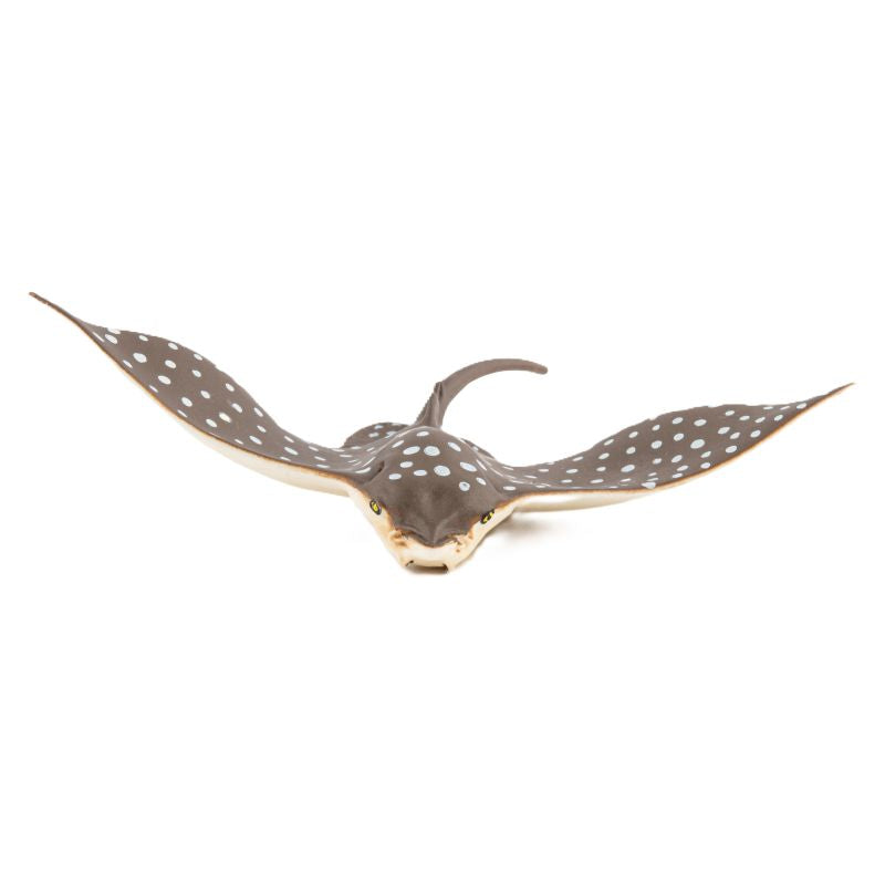 Leopard Ray