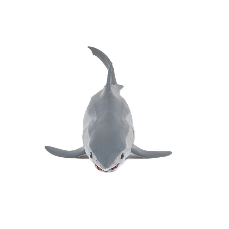 Mako Shark