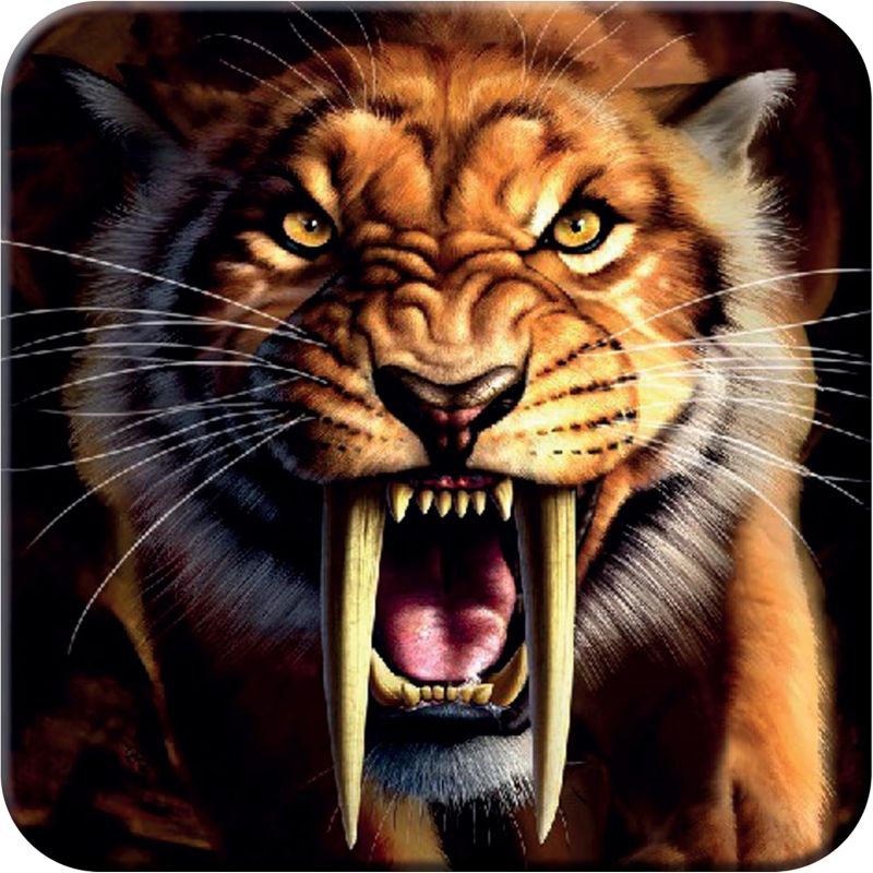Cork Coaster - Sabertooth - 3D