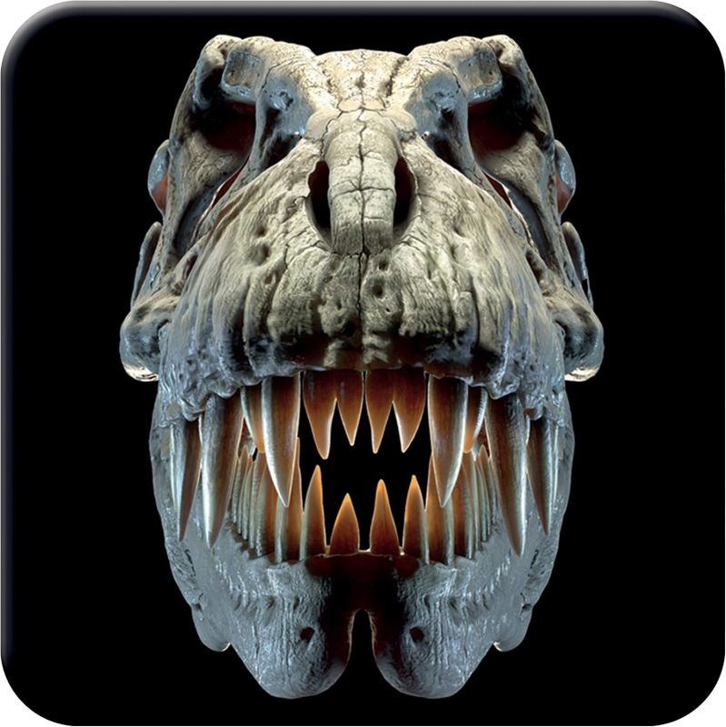 Cork Coaster - T-Rex Head - 3D