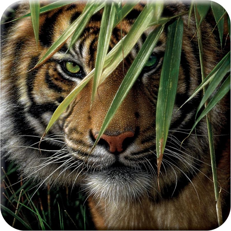Cork Coaster - Tiger - 3D