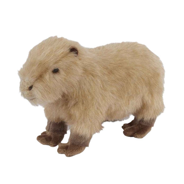 Capybara - Medium Soft Toy - 26cm