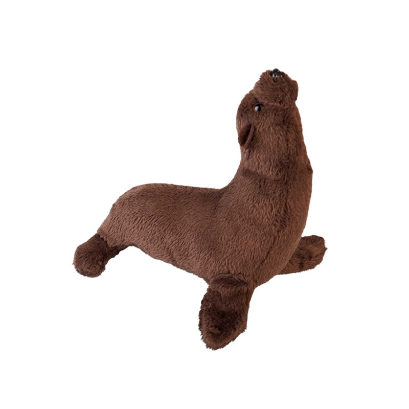 Brown plush toy sea lion on a white background