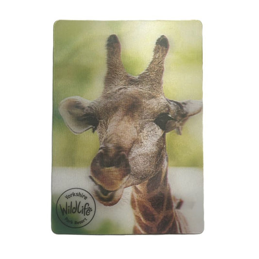 yorkshire wildlife park 3d fridge magnet giraffe