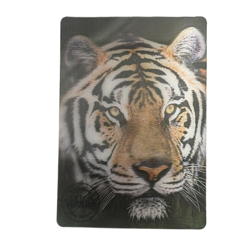 Yorkshire Wildlife Park - Tiger - 3D Magnet