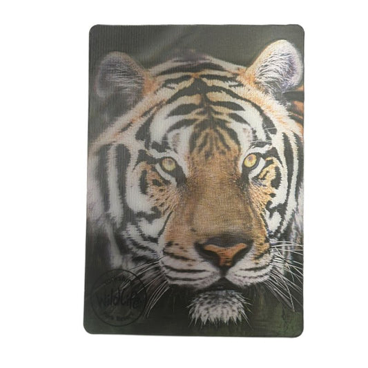 yorkshire wildlife park 3d fridge magnet tiger