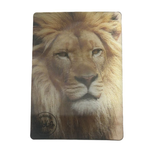 yorkshire wildlife park 3d fridge magnet lion