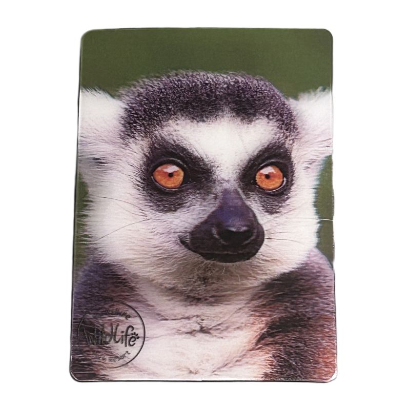 yorkshire wildlife park lemur magnet with logo