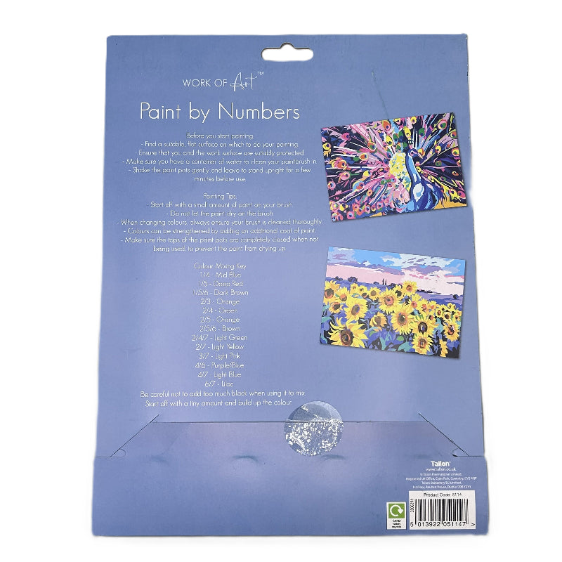 Back of a paint by numbers kit packaging with instructions and sample paintings.