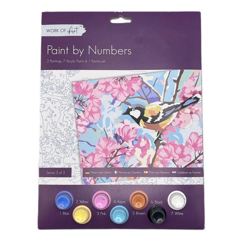 Paint by Numbers kit packaging with a bird and floral design on a purple background