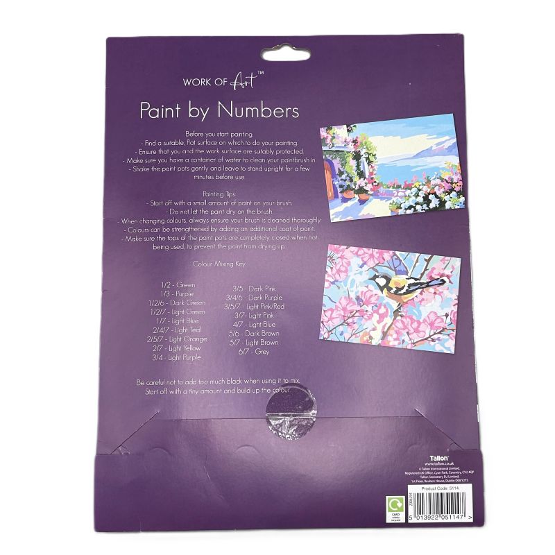 Back of a paint by numbers kit packaging with instructions and images of completed artworks.