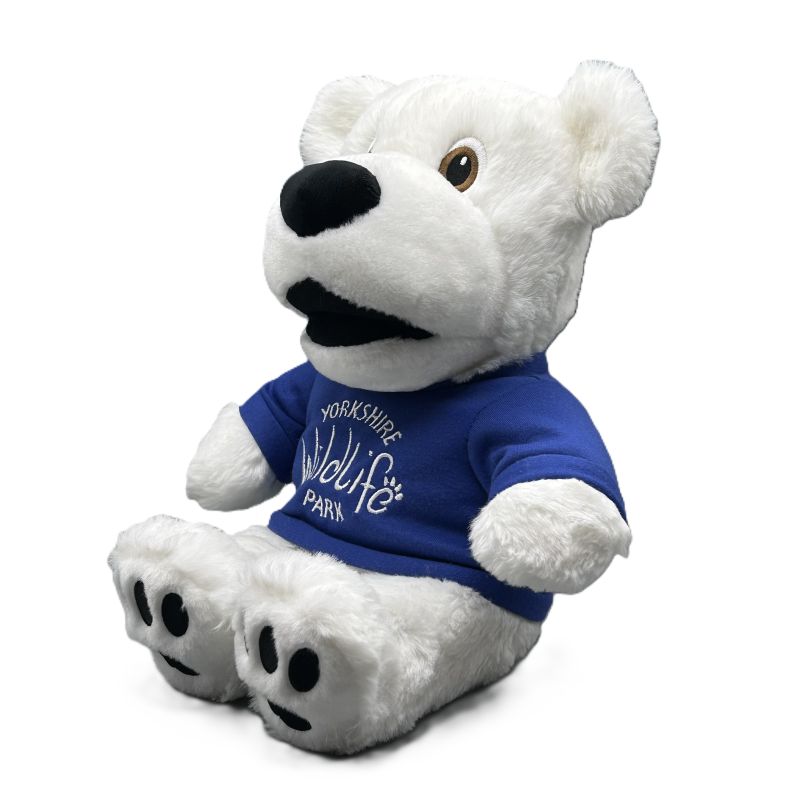 White plush bear wearing a blue shirt with text on a white background