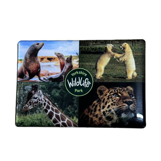 Yorkshire Wildlife Park - Animal Magnet I - Rectangular