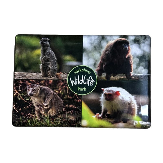rectangluar epoxy magnet of animals with Yorkshire Wildlife Park logo