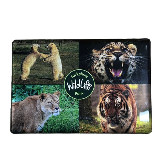 epoxy magnet of animals with Yorkshire Wildlife Park logo on a black background